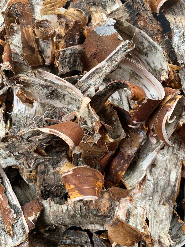 Why birch bark?