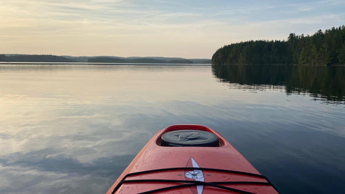 The quiet power of nature