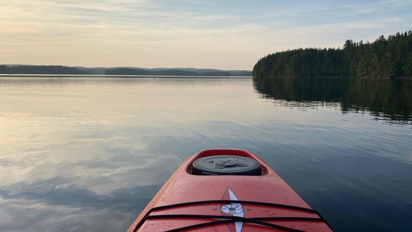 The quiet power of nature