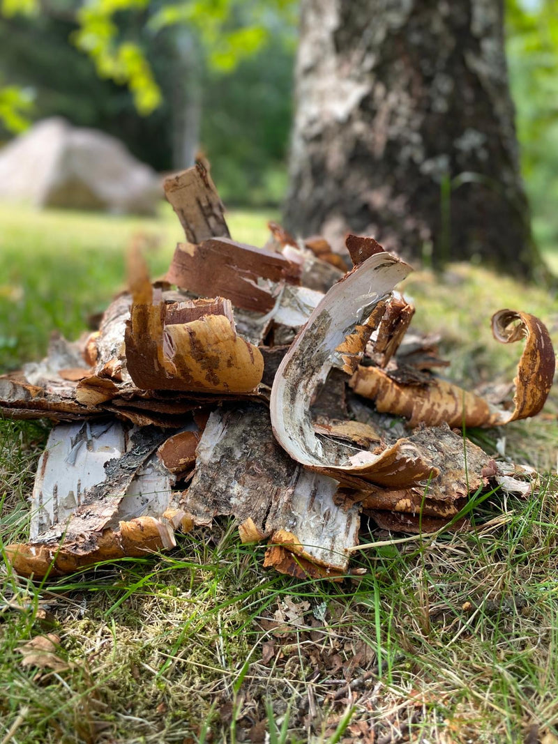 Nature's original fire starter.
